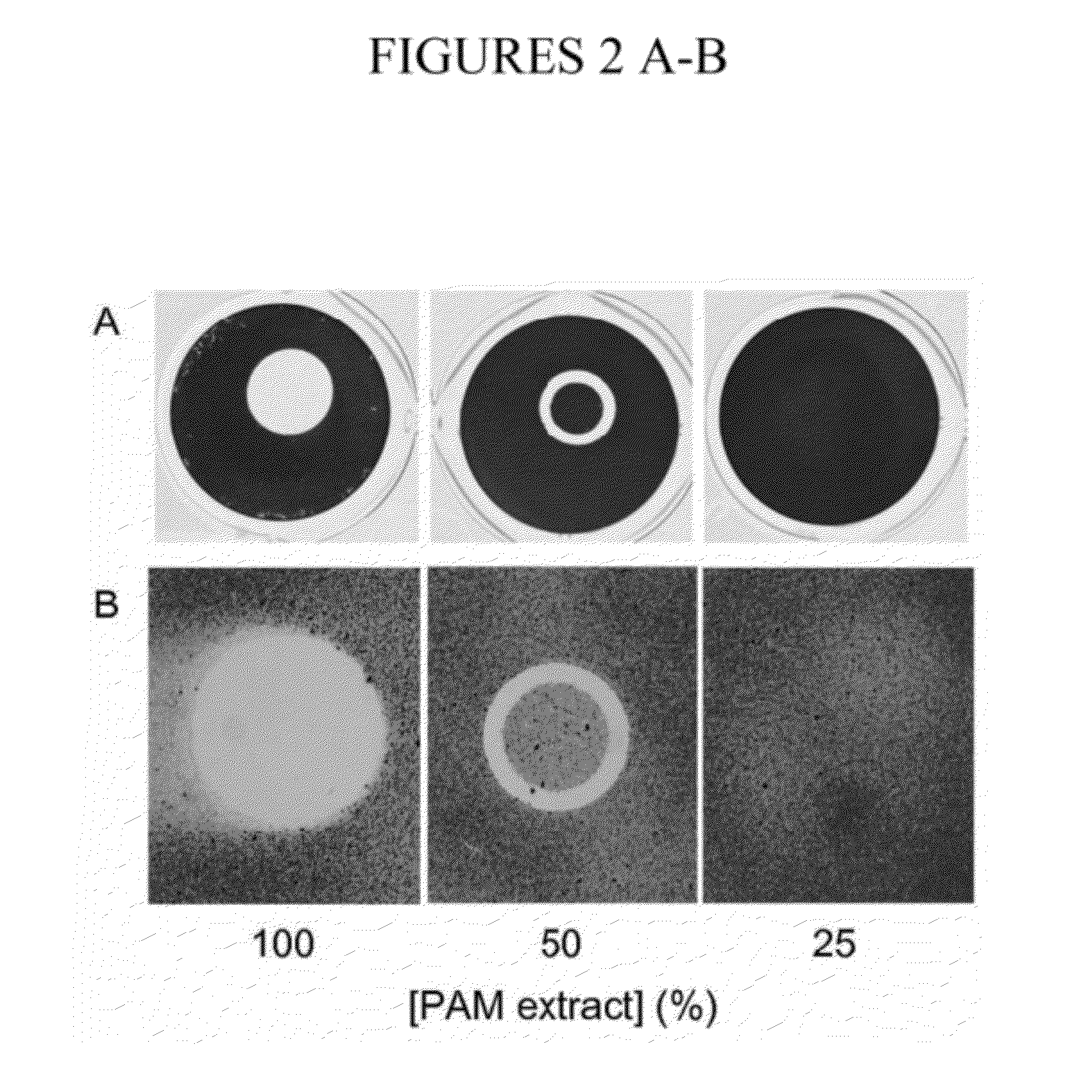 Biofilm inhibiting composition