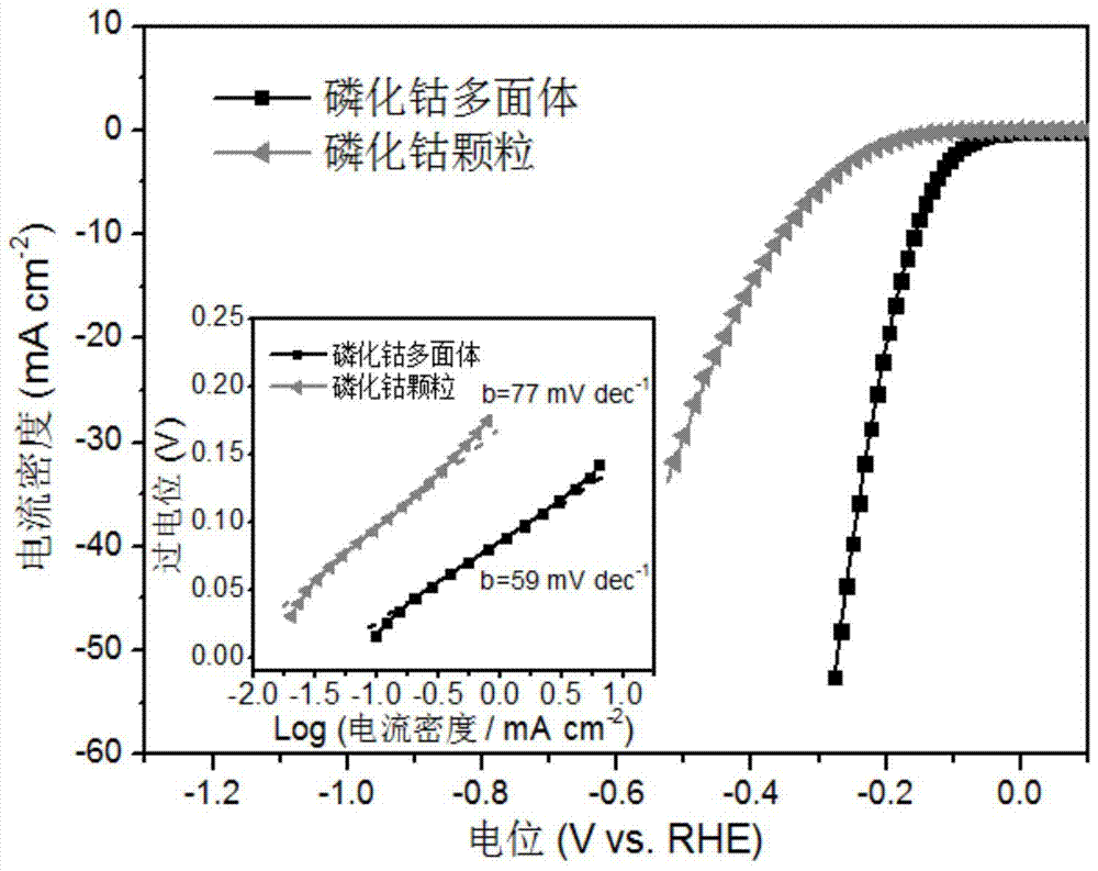 Preparation method of polyhedral cobalt phosphide electrolysis water hydrogen production catalyst