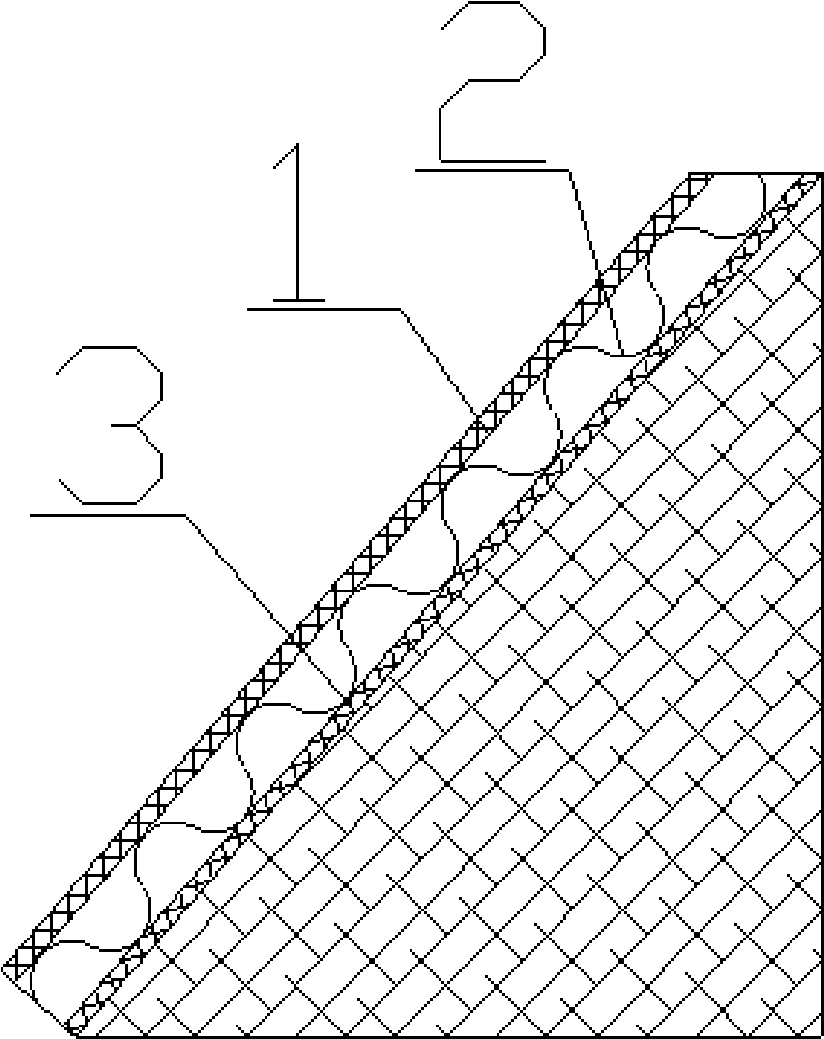 Method for planting vegetation on the karst area slope