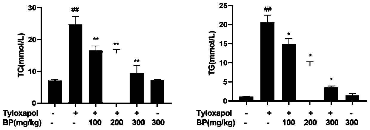 Application of crude broussonetia papyrifera leaf extract in preparation of drugs used for treating non-alcoholic fatty liver disease