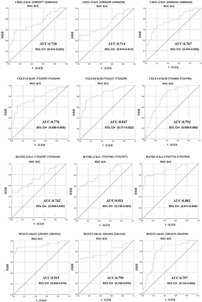 Markers, primer probes and kit for early screening and diagnosis on endometrial carcinoma