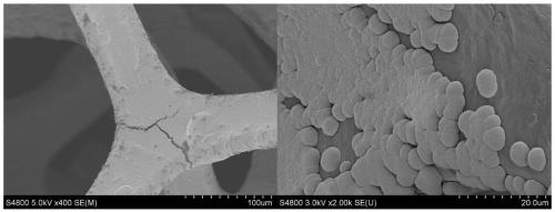 Efficient Ni/Ni(OH)2 hydrogen evolution electrode and preparation method thereof