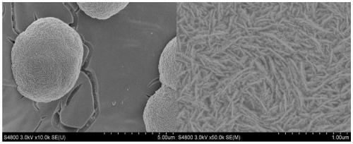 Efficient Ni/Ni(OH)2 hydrogen evolution electrode and preparation method thereof