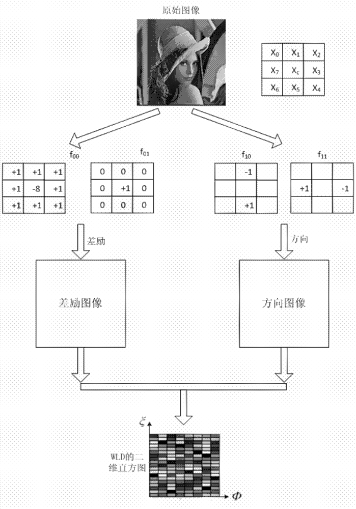 Clothes classification and identification method based on Weber local descriptor