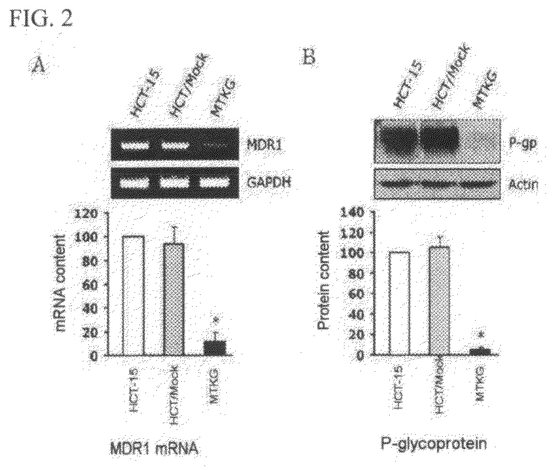 Recombinant vector expressing MDR1 shRNA and thymidine kinase and use thereof