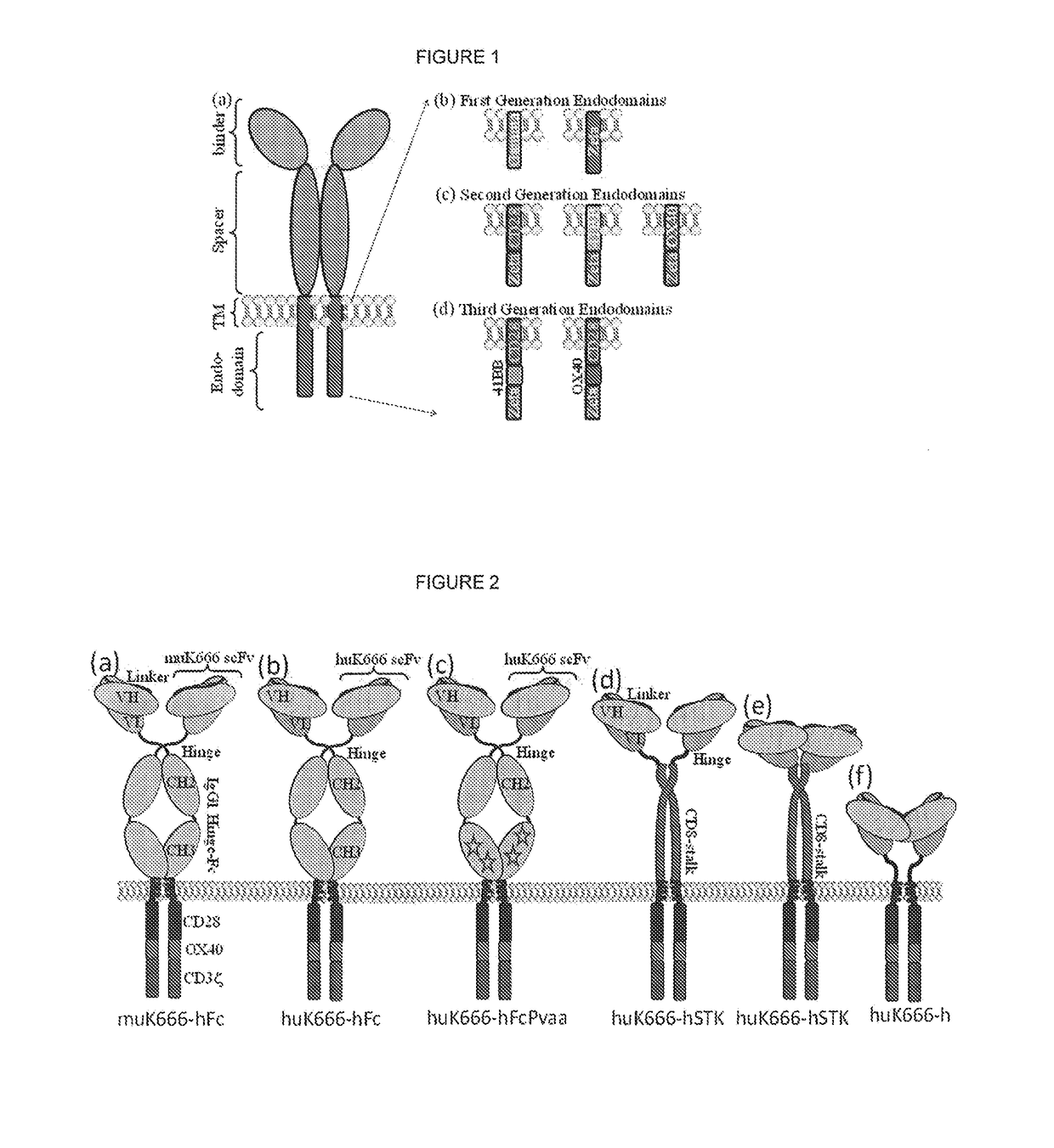 Chimeric antigen receptor