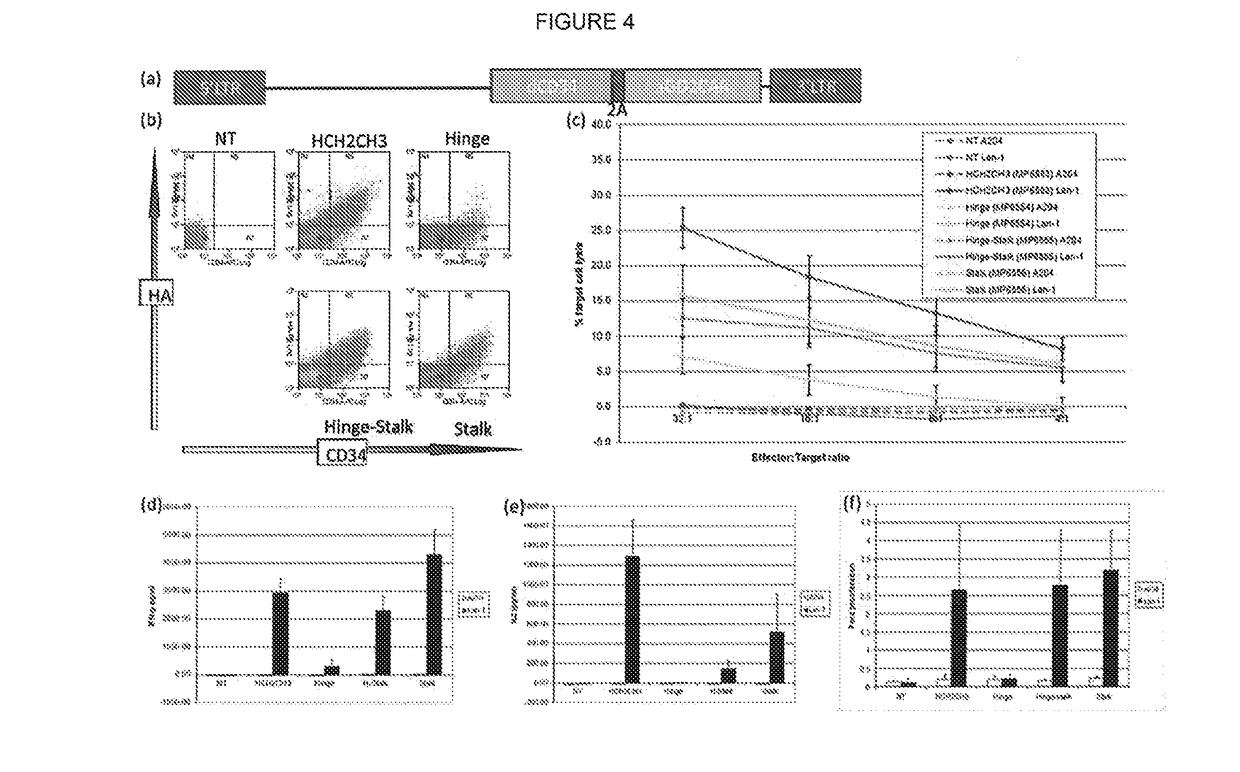 Chimeric antigen receptor