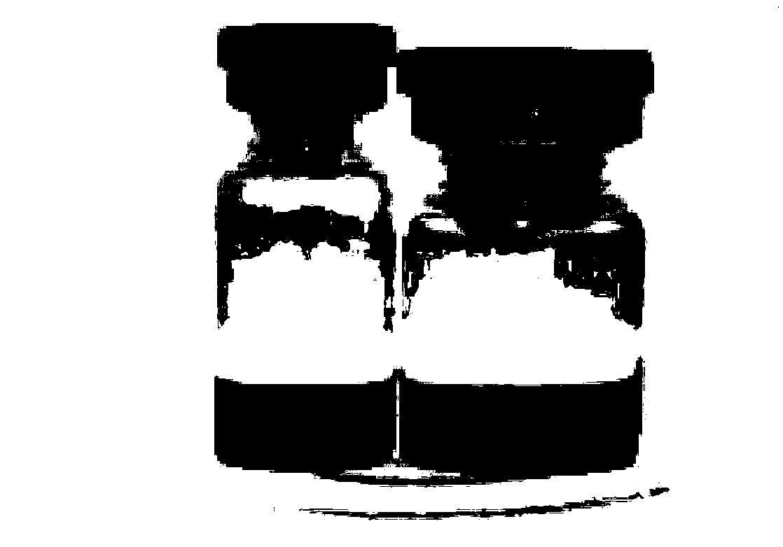 Cocktail method bi-color freeze-dried powder and preparation method thereof