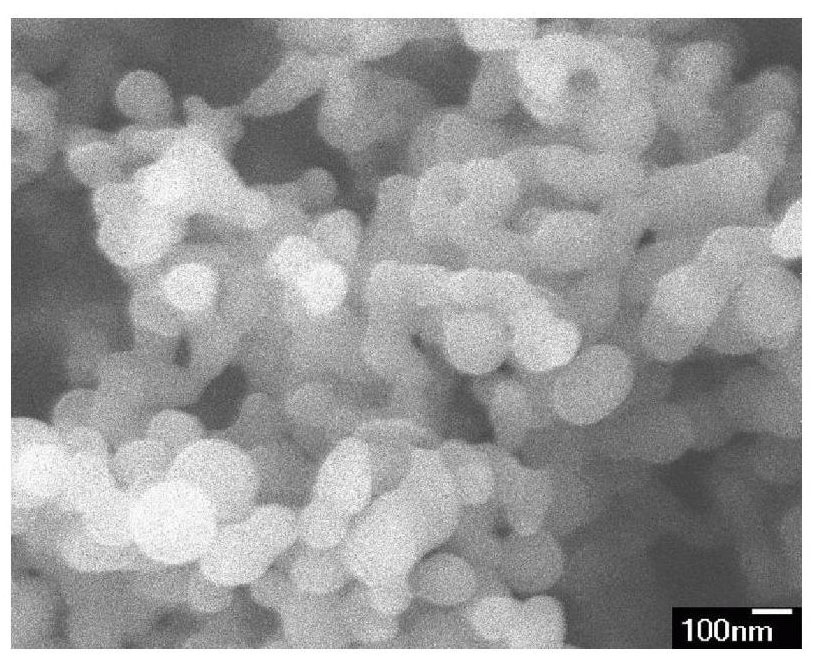 Preparation method of corn protein nano-particles