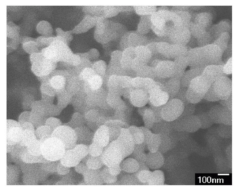 Preparation method of corn protein nano-particles