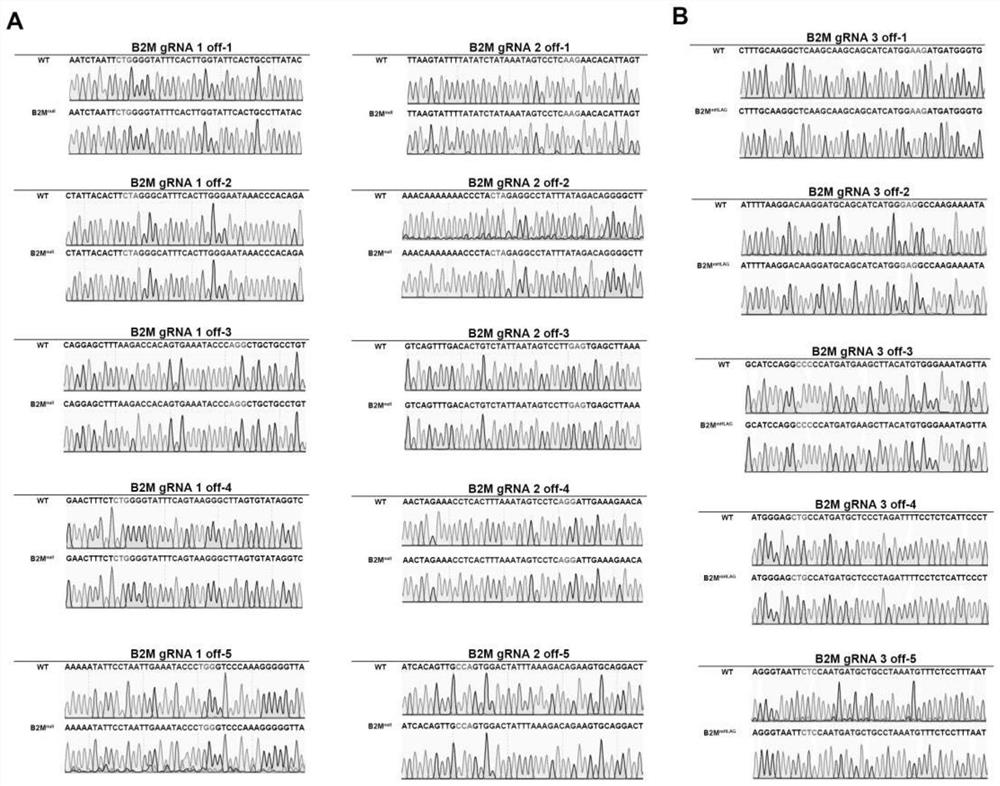 Construction method of human embryonic stem cells