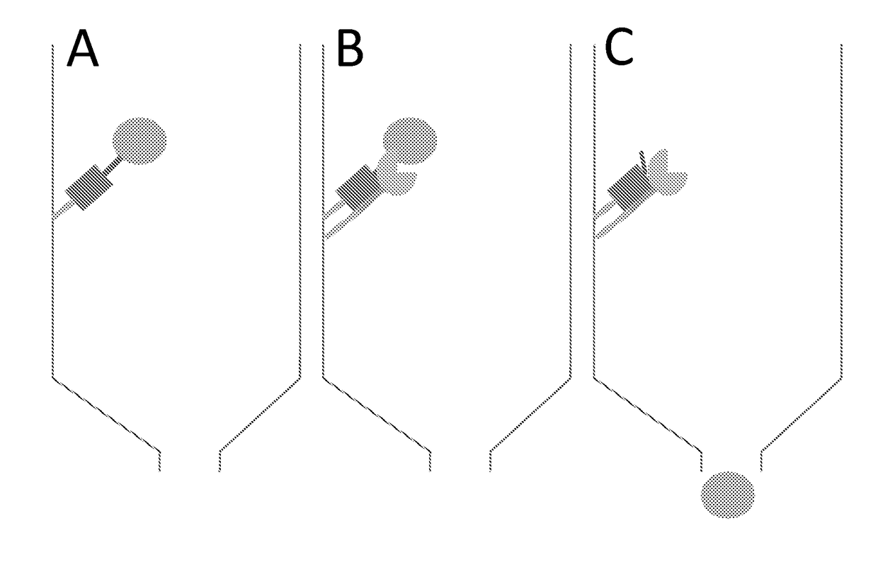 Native protein purification technology