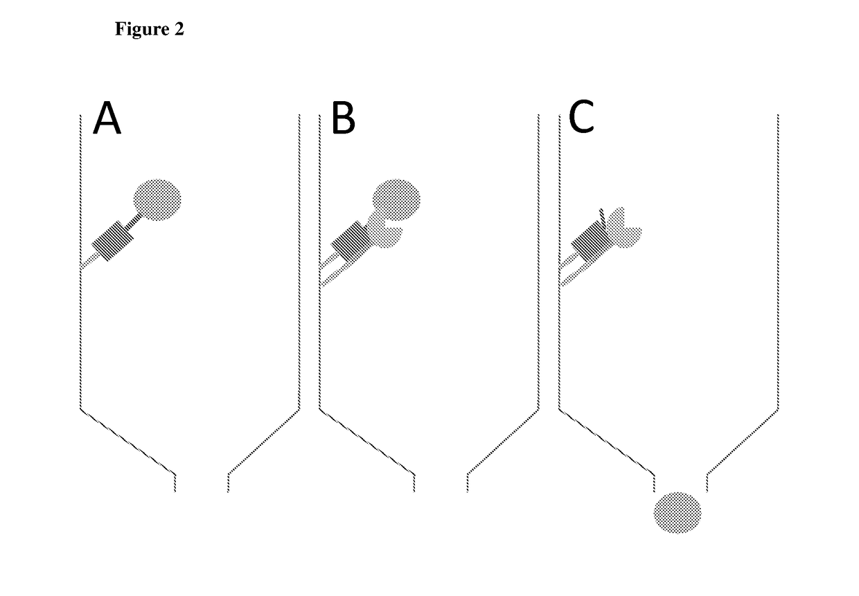 Native protein purification technology