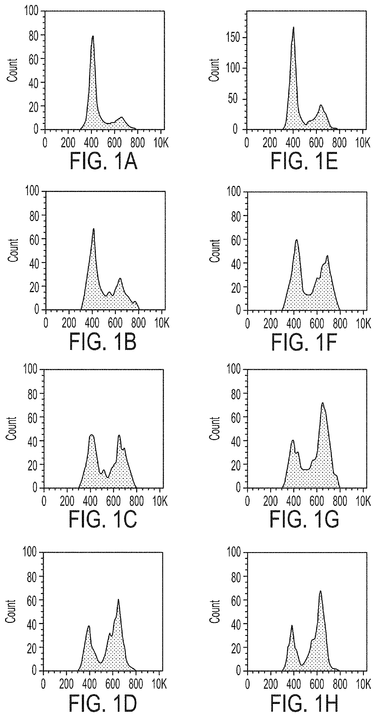 Synchronizing Tumor Cells to the G2/M Phase Using TTFields Combined with Taxane or Other Anti-Microtubule Agents