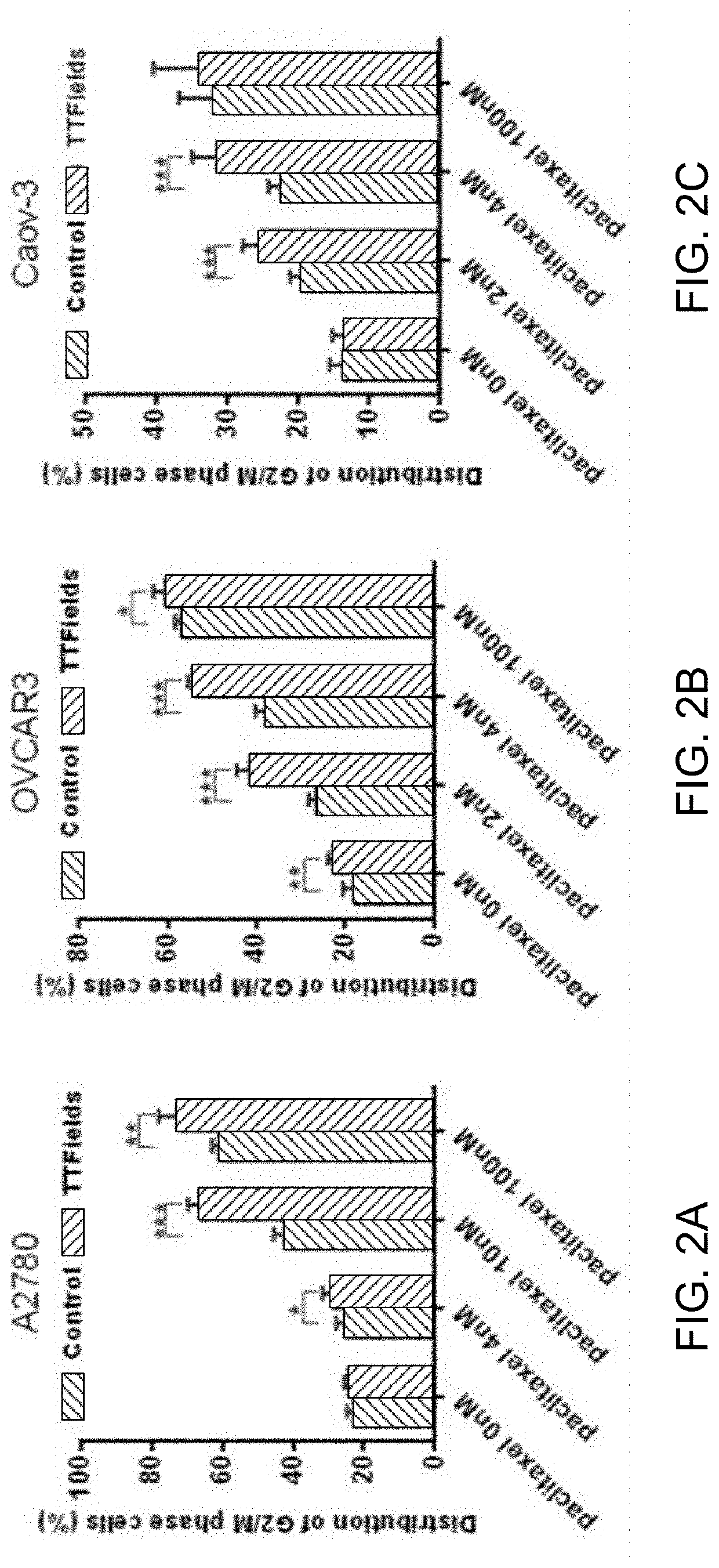 Synchronizing Tumor Cells to the G2/M Phase Using TTFields Combined with Taxane or Other Anti-Microtubule Agents