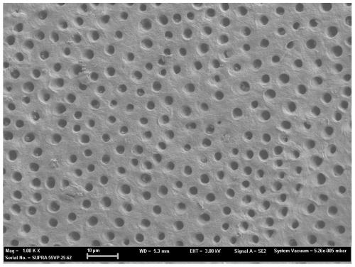 A material used to seal dentinal tubules to desensitize teeth