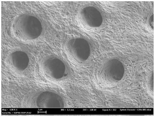 A material used to seal dentinal tubules to desensitize teeth