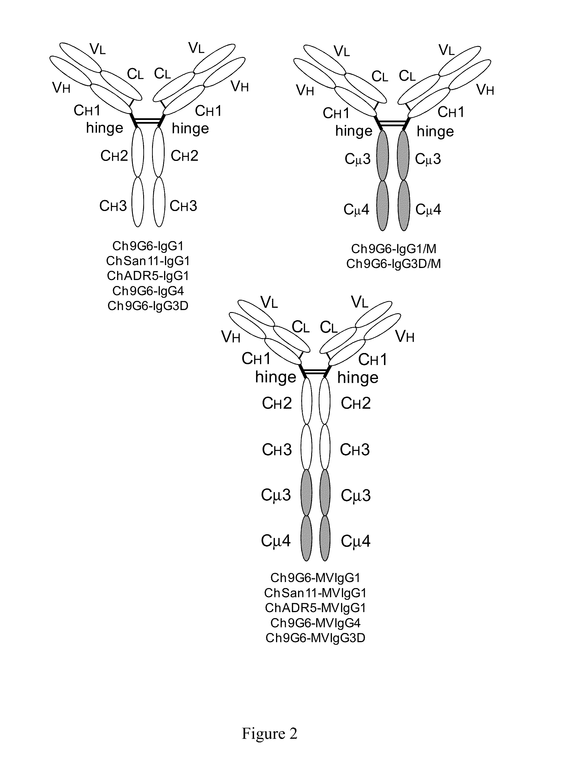 Hybrid Constant Regions