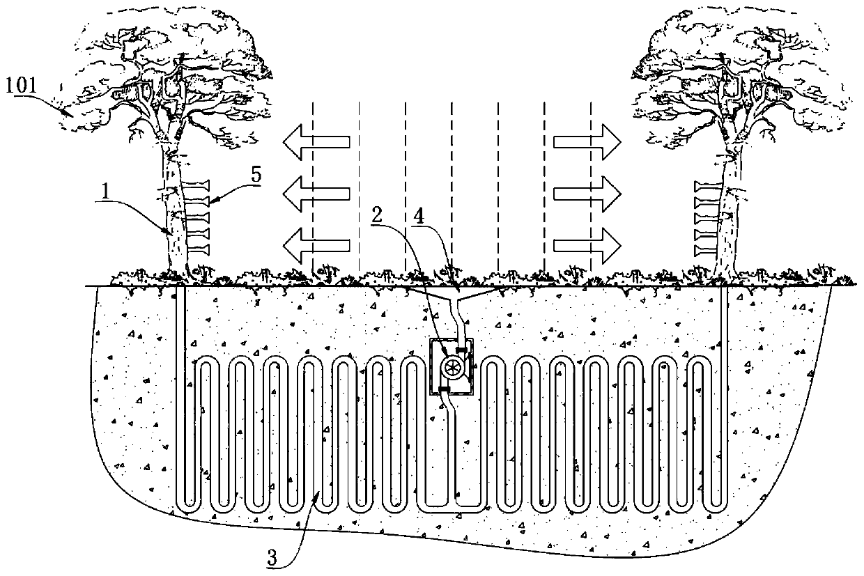 Ecological auxiliary system for increasing visual distance of wetland