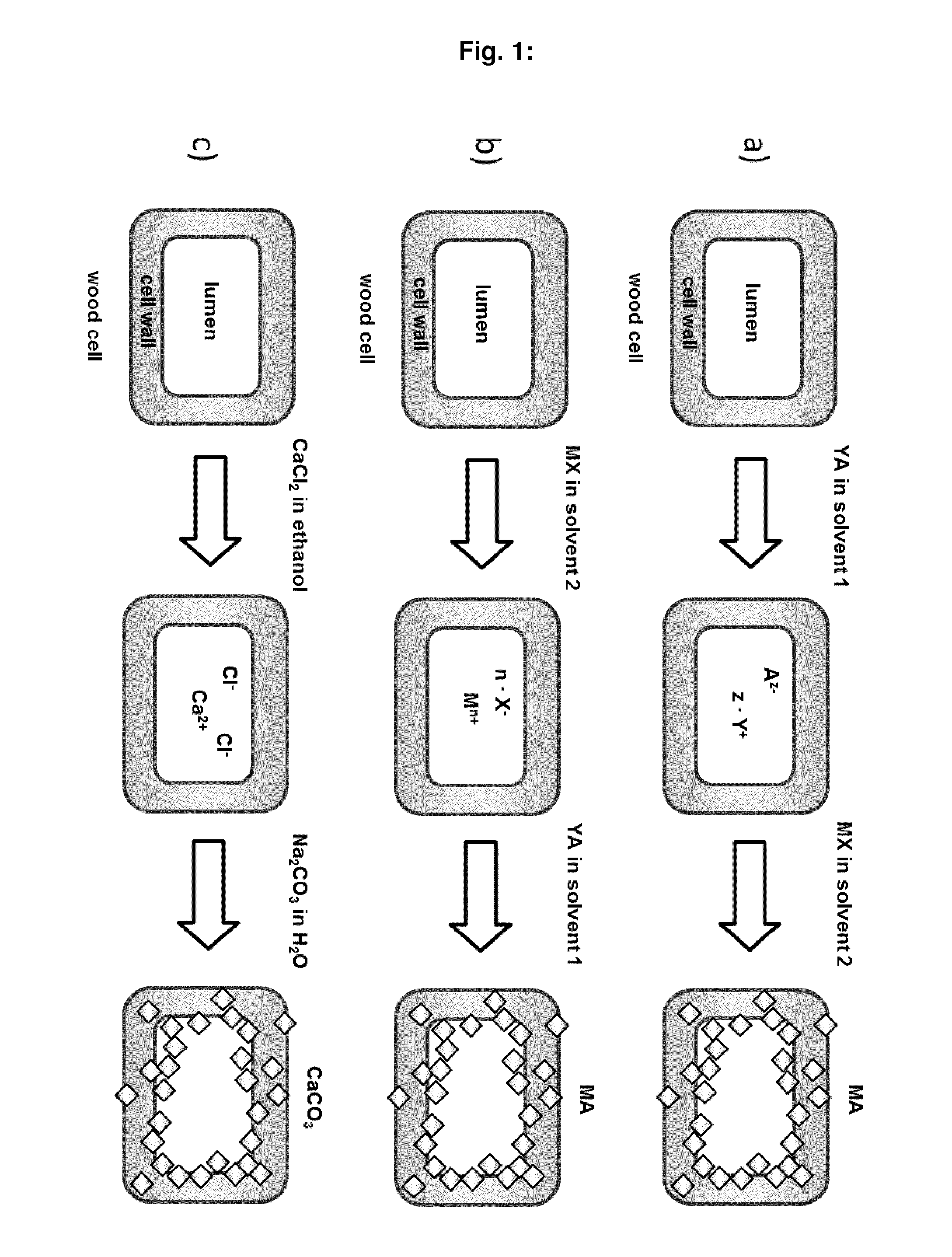 Mineralized wood materials and methods providing mineralized wood materials