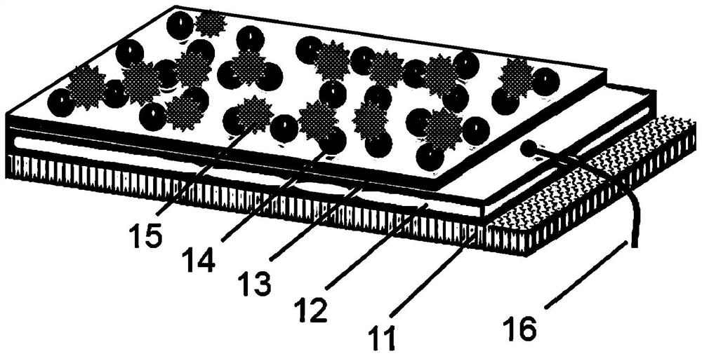 Unbiased enzymatic glucose photoelectrochemical sensing electrode and preparation method thereof