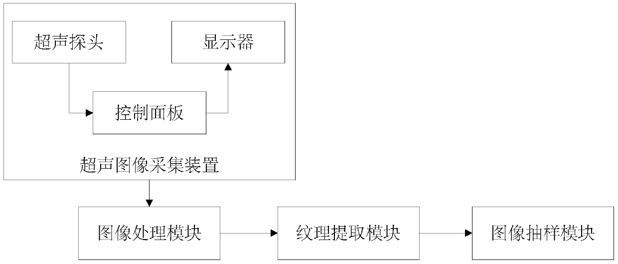 Meat quality detection system and method based on ultrasonic signals