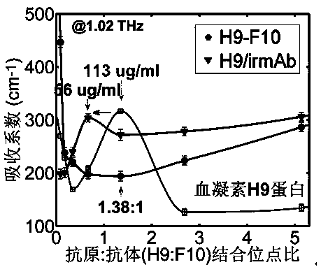 Terahertz time-domain spectroscopy-based unmarked hemagglutinin detection method