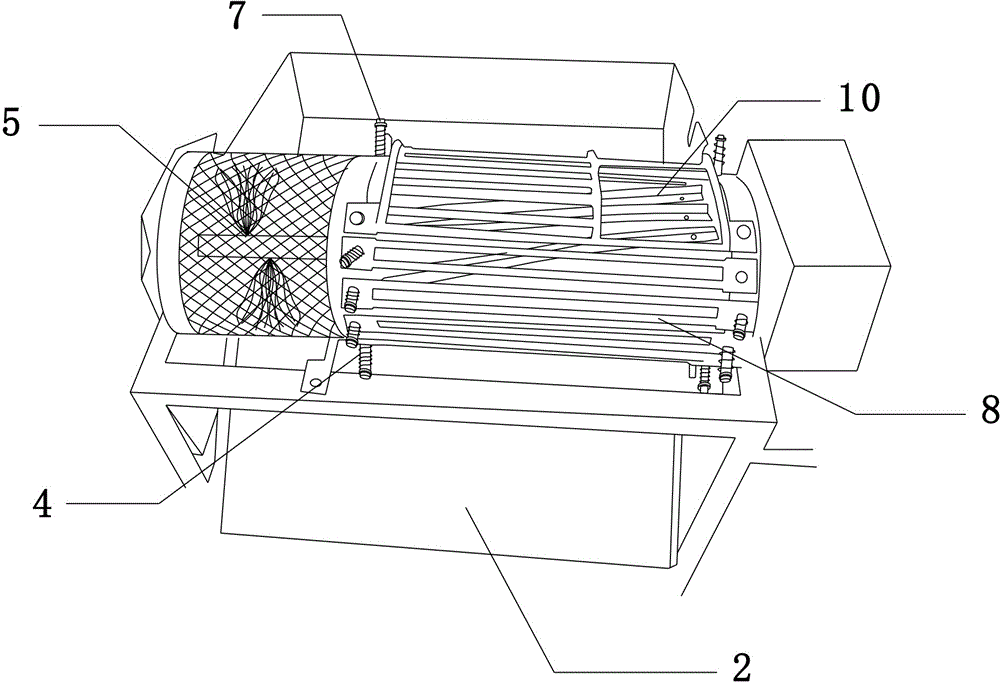 Walnut peeling and cleaning machine