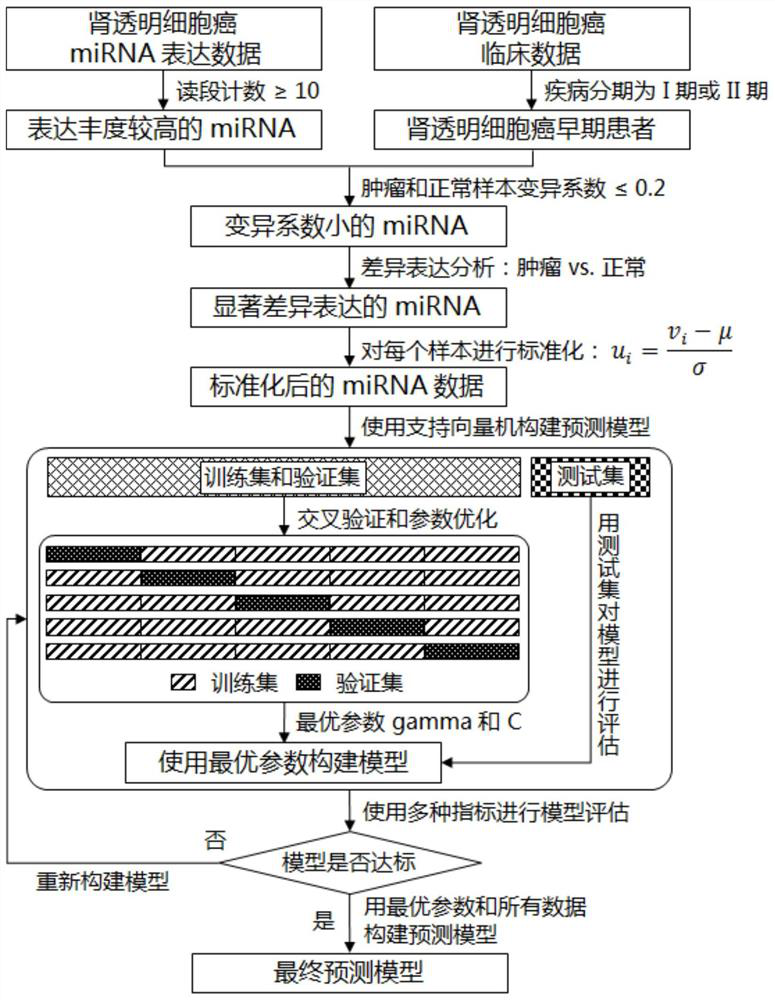 Characteristic miRNA expression profile combination and early prediction method for uterine corpus endometrial carcinoma