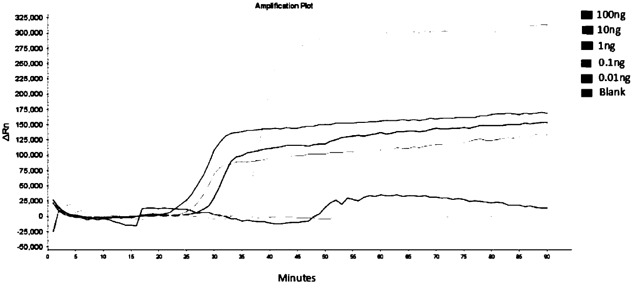 Isothermal amplification nucleic acid detection method based on helicase and nicking enzyme and kit