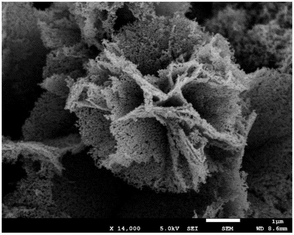 Vanadium nitride material and preparation method and application thereof