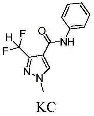 Pyrazole amide compound and application thereof