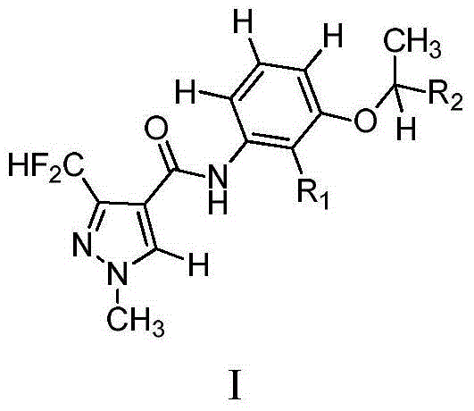 Pyrazole amide compound and application thereof