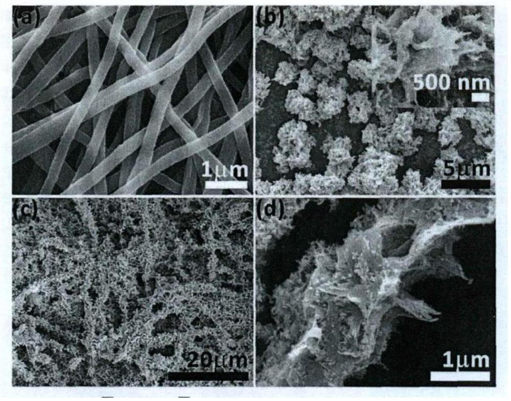 Preparation method of active carbon fiber porous tungsten disulfide nano composite material