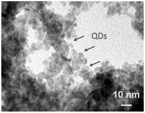 Quantum plasmon material as well as preparation method and application thereof