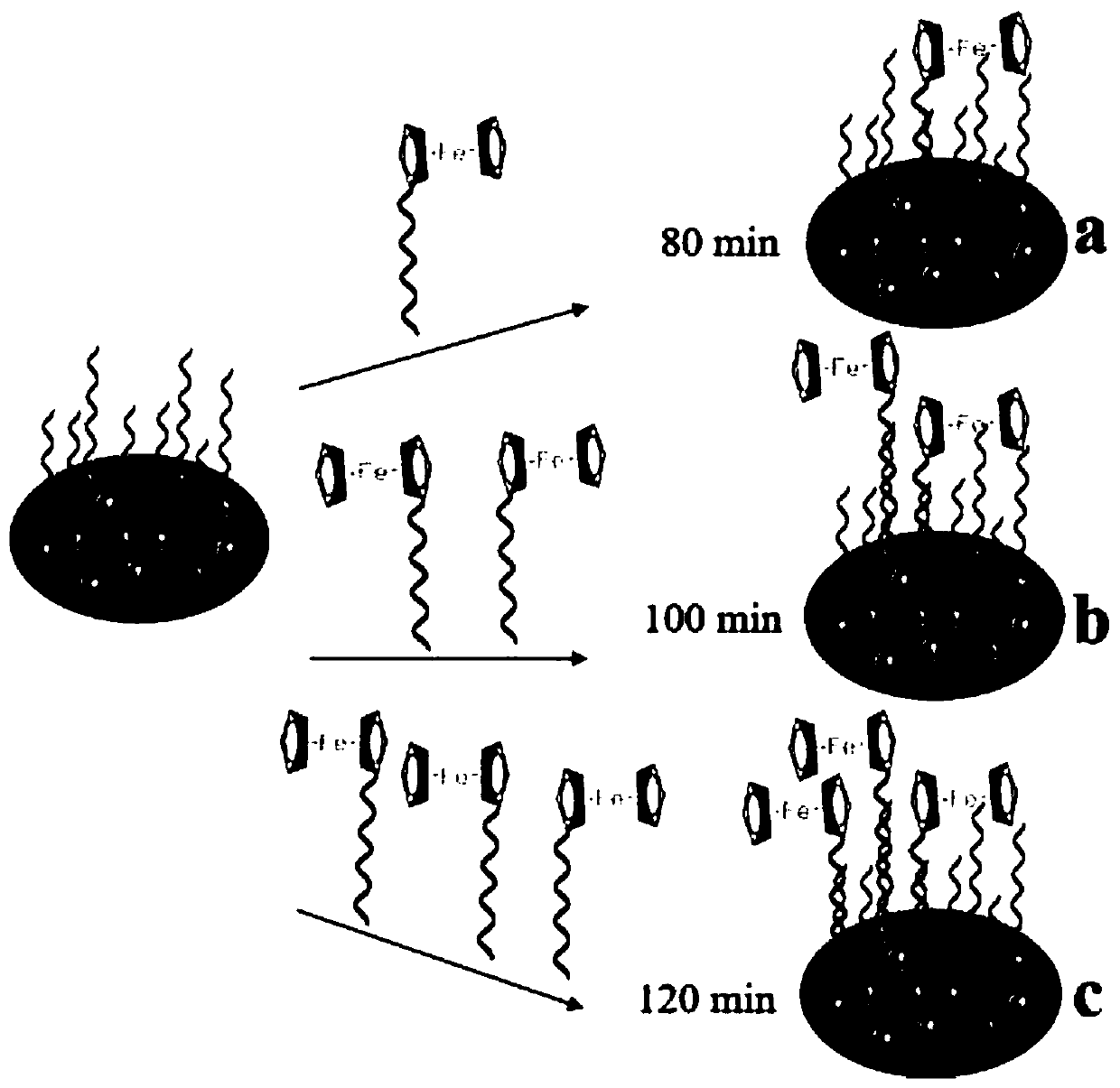 Preparation method of unmarked ratio electrochemical sensor for detecting aflatoxin B1 based on time regulation sensitivity