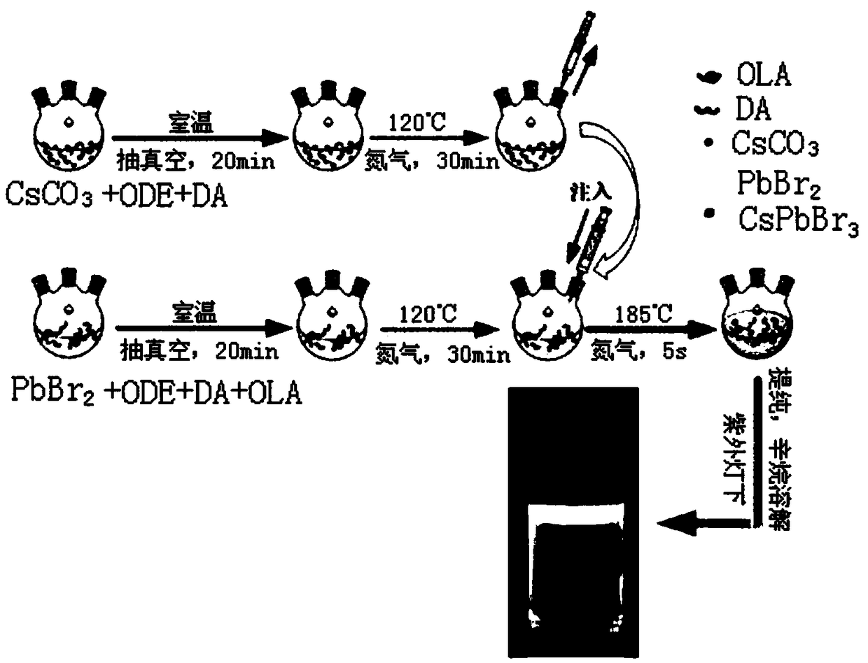 Preparation method of 2-hexyldecanoic acid modified all-inorganic perovskite quantum dot material