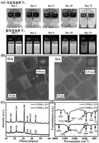 Preparation method of 2-hexyldecanoic acid modified all-inorganic perovskite quantum dot material