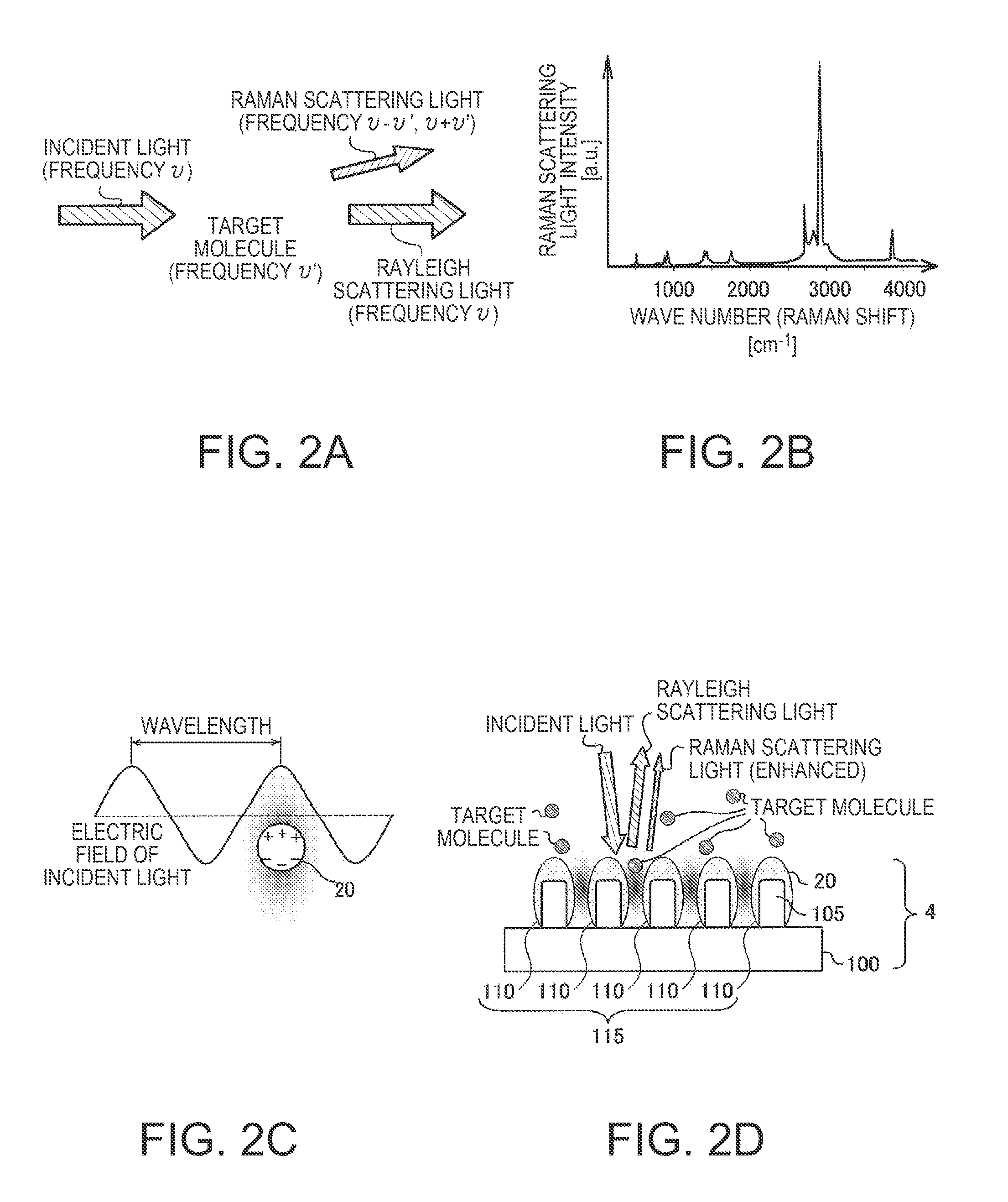 Detection apparatus