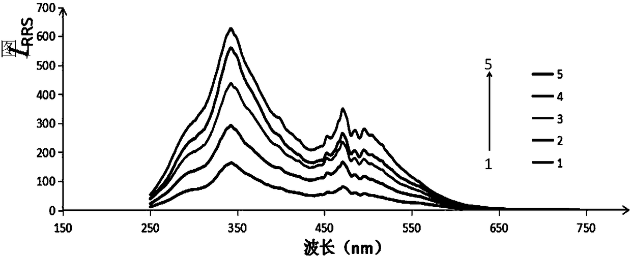 Method for accurately determining chitosan content by resonance Rayleigh scattering method