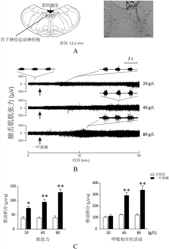 Medicinal use of securinine