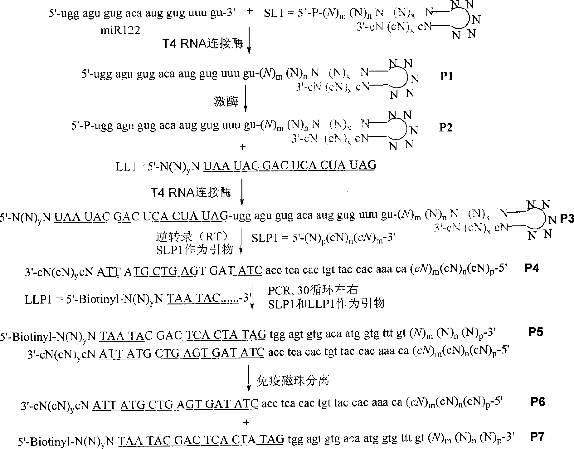 Reagent used for ex vivo expansion and method thereof