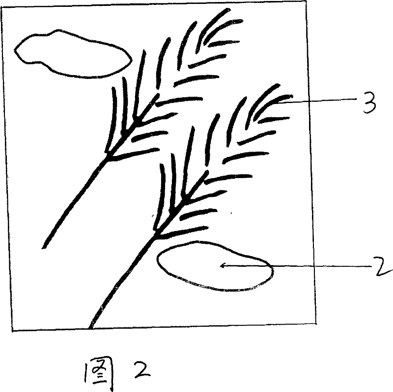 Ornamental glass having etching pattern and multicolor pattern and and method for manufacturing same