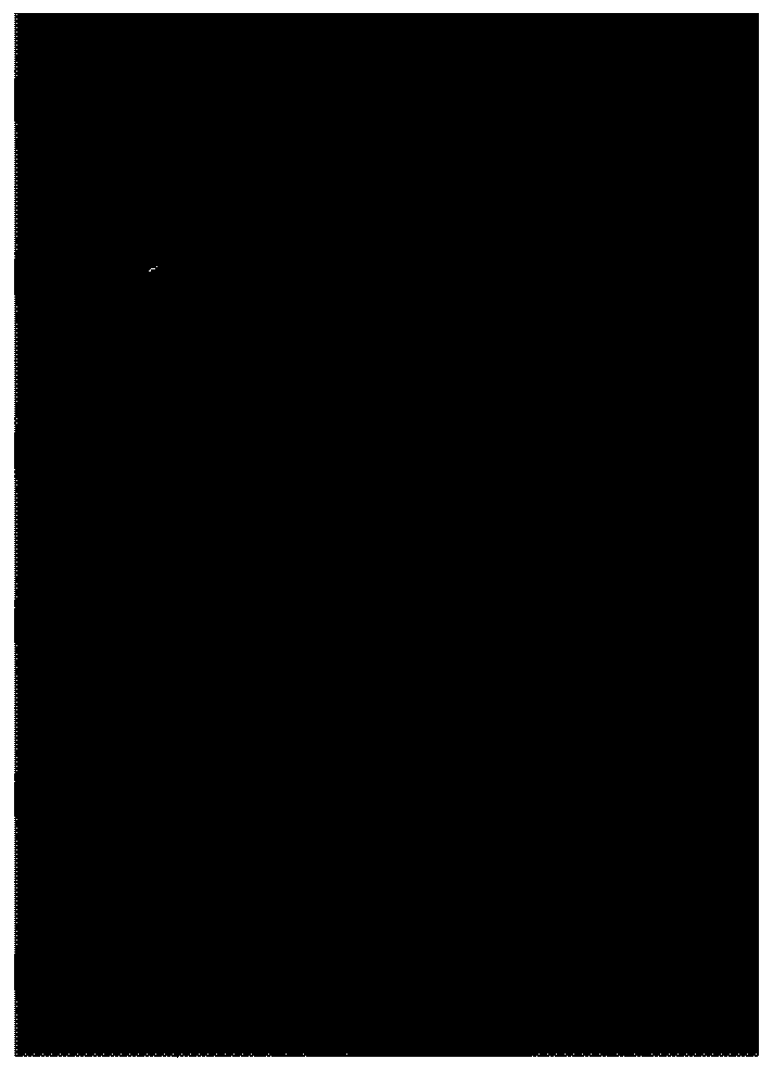 Method for large-area transfer of two-dimensional transition metal chalcogenide film and application thereof