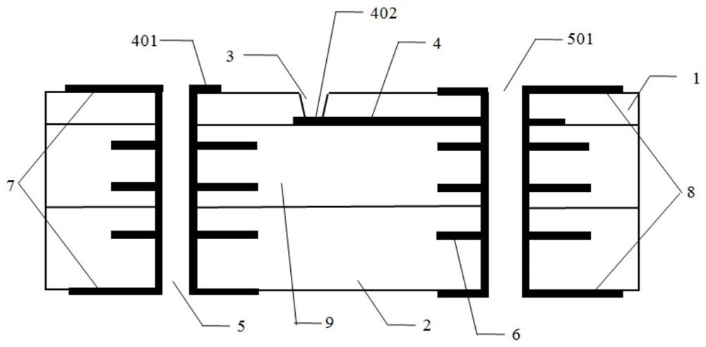 Chip with composite layer and application of chip in biological detection