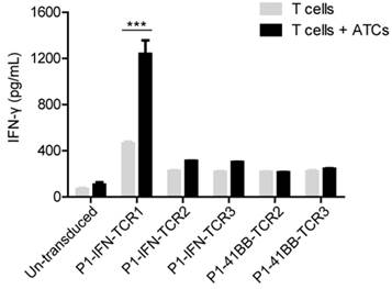 A method for screening tumor-specific TCRs