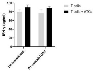 A method for screening tumor-specific TCRs