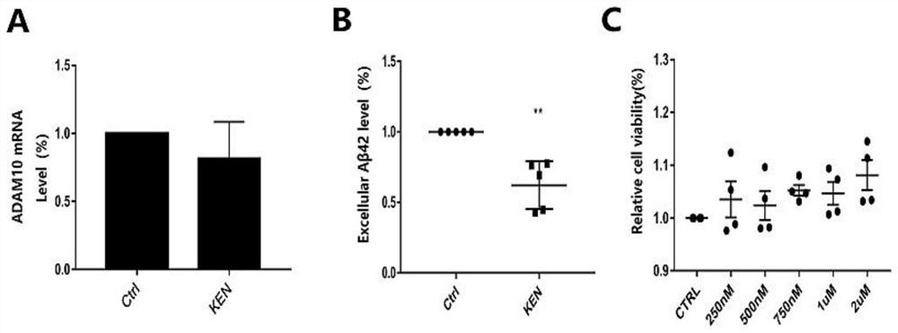 Application of Kenpaullone in preparation of medicine capable of preventing or treating cerebral amyloid angiopathy