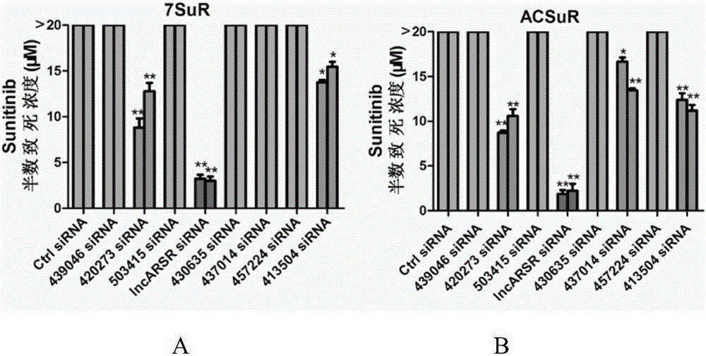 Kit for detecting lncARSR in serum and application of kit in detection of kidney cancer sunitinib drug resistance