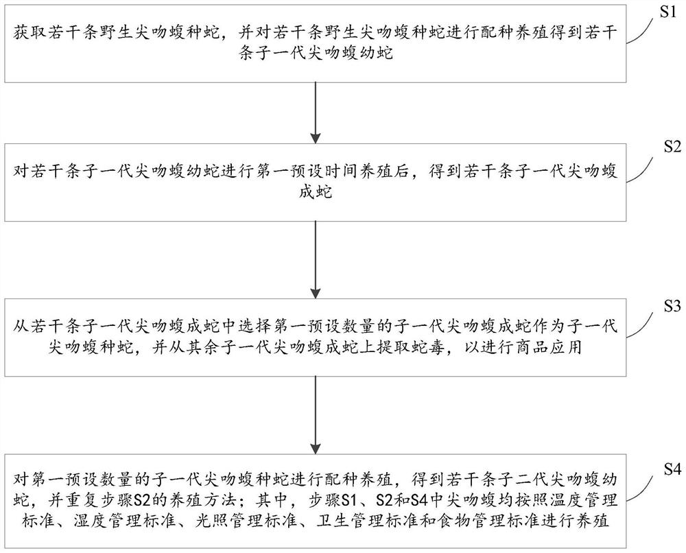 Standardized breeding method for deinagkistrodon